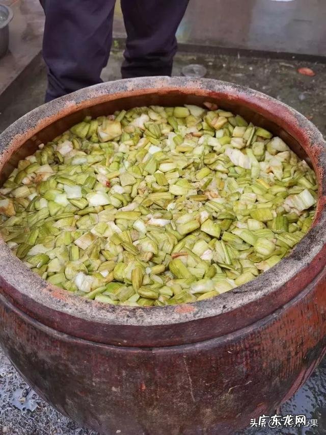 种植什么挣钱 现在农村种植什么比较赚钱？农村致富种植什么好