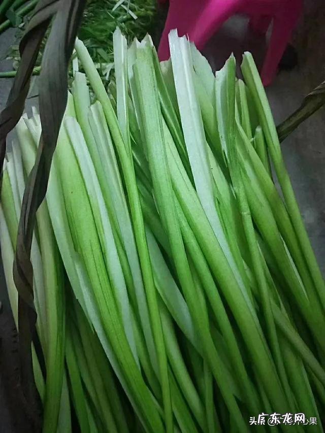 种植什么挣钱 现在农村种植什么比较赚钱？农村致富种植什么好