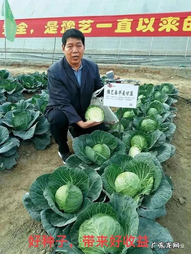 种植什么挣钱 现在农村种植什么比较赚钱?农村致富种植什么好