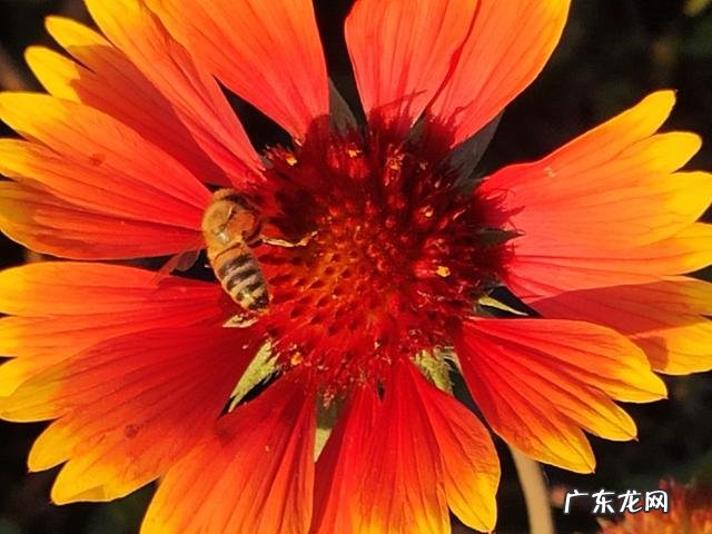 凌云光技术集团主要靠什么赚钱 靠技术赚钱的工作有哪些?赚小钱靠,赚中钱靠,赚大钱靠