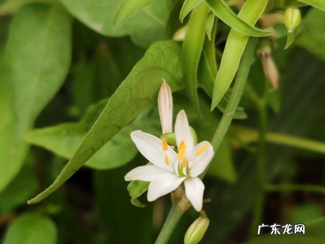 凌云光技术集团主要靠什么赚钱 靠技术赚钱的工作有哪些?赚小钱靠,赚中钱靠,赚大钱靠