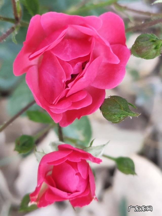 凌云光技术集团主要靠什么赚钱 靠技术赚钱的工作有哪些?赚小钱靠,赚中钱靠,赚大钱靠