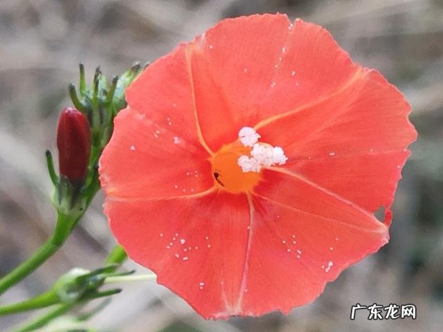 凌云光技术集团主要靠什么赚钱 靠技术赚钱的工作有哪些?赚小钱靠,赚中钱靠,赚大钱靠