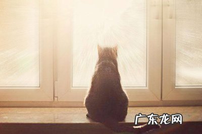 ps如何添加光效 PS添加光线效果怎么做