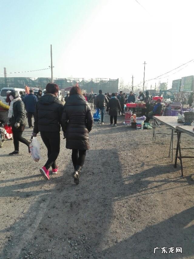 年底了,在农村集市上做什么生意比较好