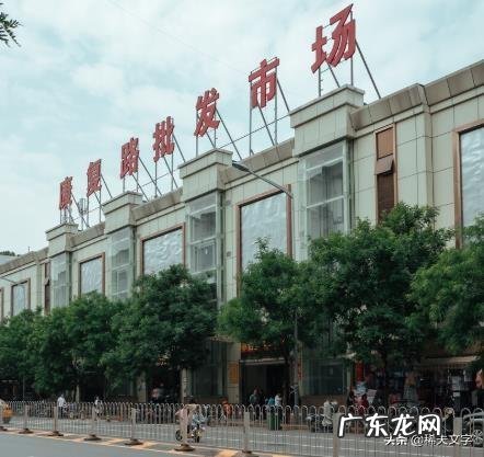 开私家车或面包车流动摆摊,你觉得有什么值得推荐的