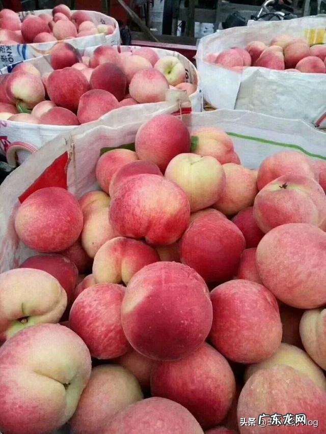 受疫情影响,今年最适合做什么小生意