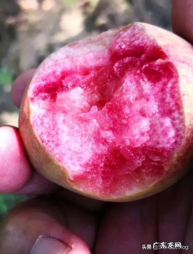 受疫情影响,今年最适合做什么小生意