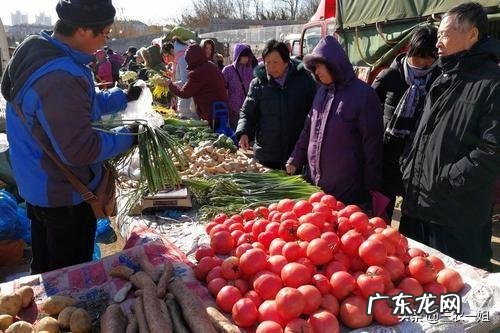 农村年收入一般多少 春节过后,农村都有哪些小生意可以实现月收入上万,暴利小生意