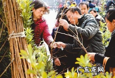 农村年收入一般多少 春节过后,农村都有哪些小生意可以实现月收入上万,暴利小生意