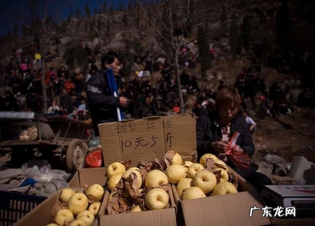 挣钱的小生意 农村有啥投资小回报大的小生意,小生意有什么好的项目