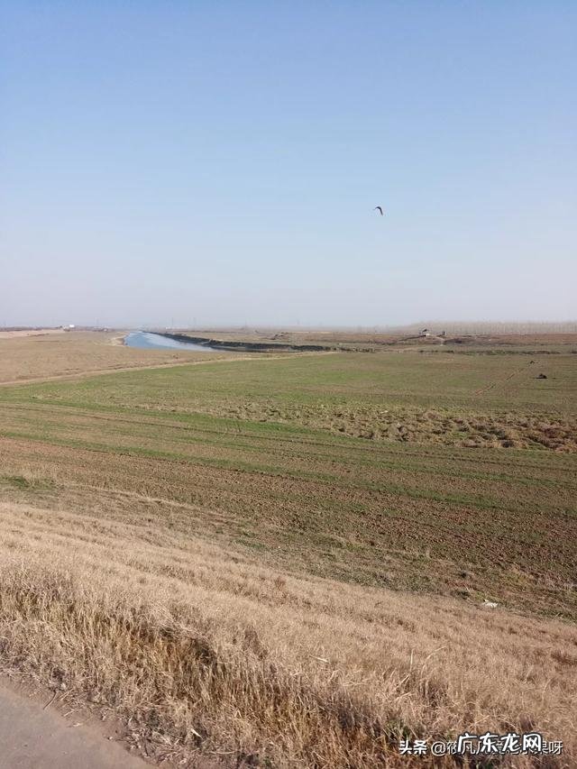 22个适合乡镇做的生意 农村乡镇适合做什么生意,适合在小镇发展的行业