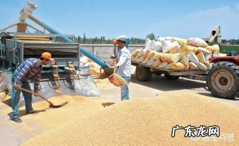 22个适合乡镇做的生意 农村乡镇适合做什么生意,适合在小镇发展的行业