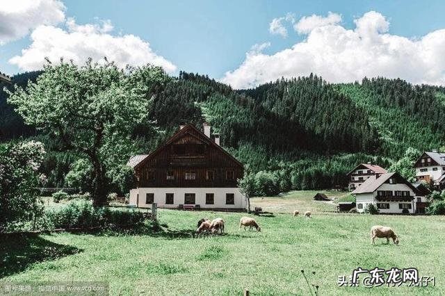 22个适合乡镇做的生意 农村乡镇适合做什么生意,适合在小镇发展的行业