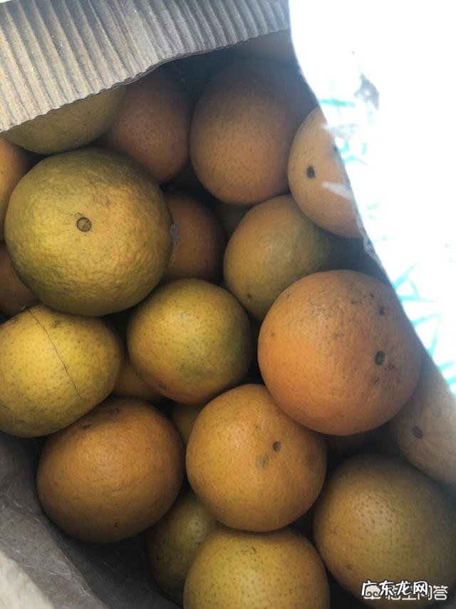 春节前做什么生意赚钱快 有哪些适合在过年期间做的小生意,适合过年做的生意