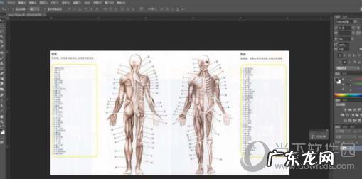 maya人头建模步骤 Maya人体建模步骤