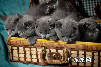 ps撕裂效果详细步骤 PS照片撕裂效果怎么做