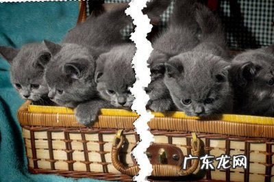 ps撕裂效果详细步骤 PS照片撕裂效果怎么做