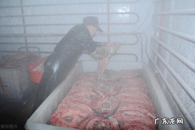 农村投资什么项目好 如今农村有什么好项目可以小本投资,适合农村的小项目