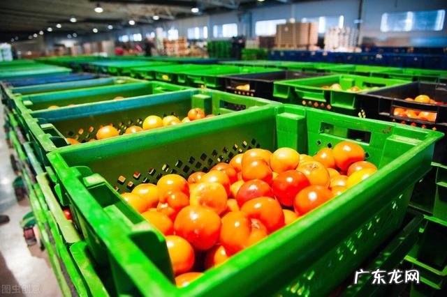 农村投资什么项目好 如今农村有什么好项目可以小本投资,适合农村的小项目