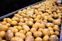 农村投资什么项目好 如今农村有什么好项目可以小本投资,适合农村的小项目