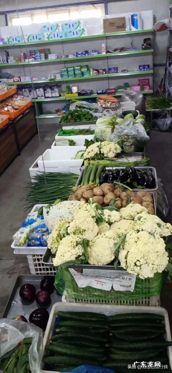 农村投资什么项目好 如今农村有什么好项目可以小本投资,适合农村的小项目