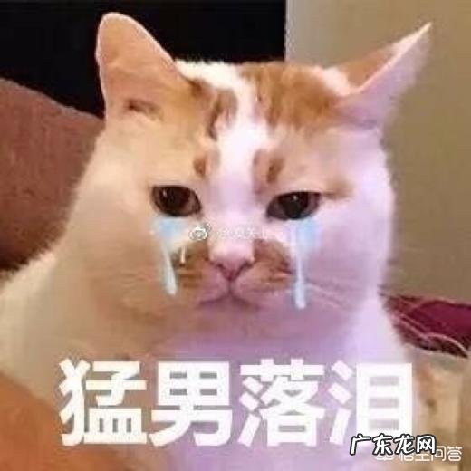 程序员在哪里可以接私活 各位大佬们,程序员都是通过什么途径接私活啊?程序员接私活的网站