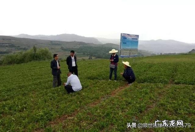 适合农村的小型养殖 在农村创业养殖亏了,你会怎么办,农村养殖什么不愁销路