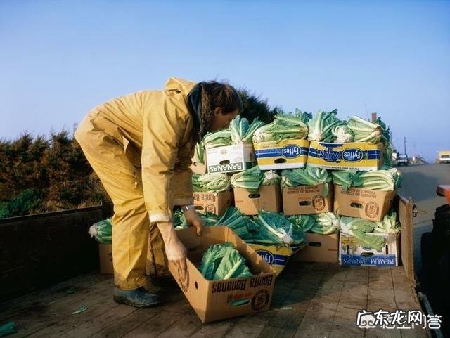 农民没有钱,怎样从种植养殖方面创业