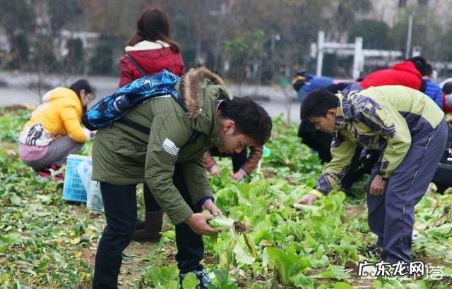 农民没有钱,怎样从种植养殖方面创业