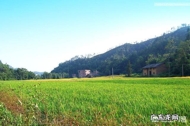 农民没有钱,怎样从种植养殖方面创业