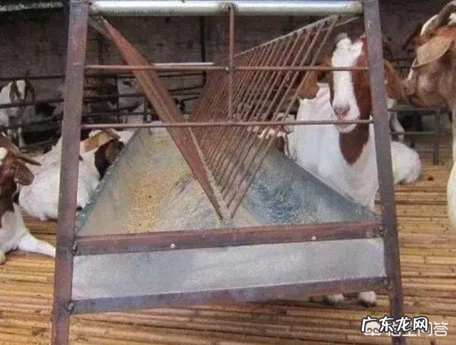 农民没有钱,怎样从种植养殖方面创业