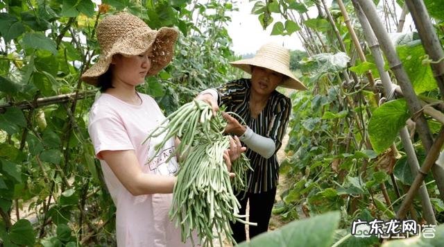 农民没有钱,怎样从种植养殖方面创业