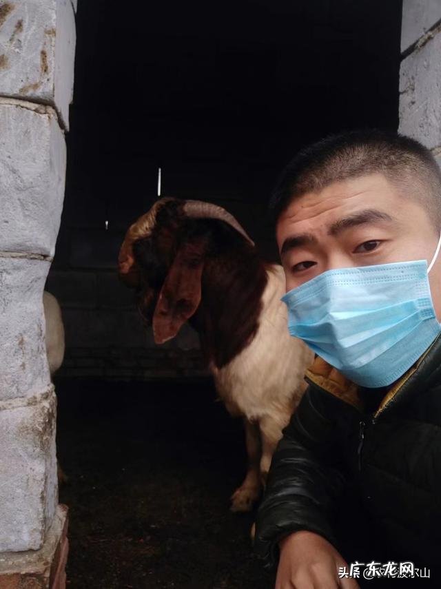 新手怎么养羊 自己懂得养羊又有养羊技术没有资金怎么办,学养羊技术