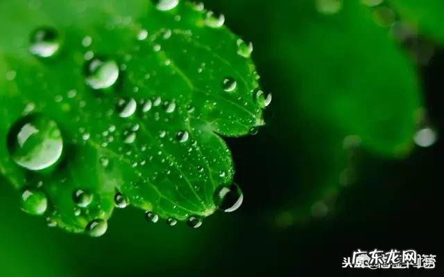 怎么做才能让生意好 如何让实体店生意火起来,如何能让店里生意好