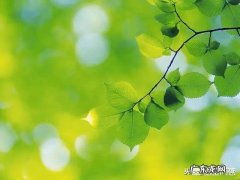 怎么做才能让生意好 如何让实体店生意火起来,如何能让店里生意好