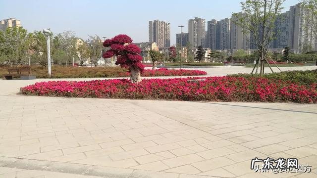 搞暧昧不愿意花钱的男生 不愿意结婚生子，不过相夫教子的生活，一心只想搞钱去旅游。这种心态为什么会不被父辈接受？男人搞暧昧是喜欢对方吗