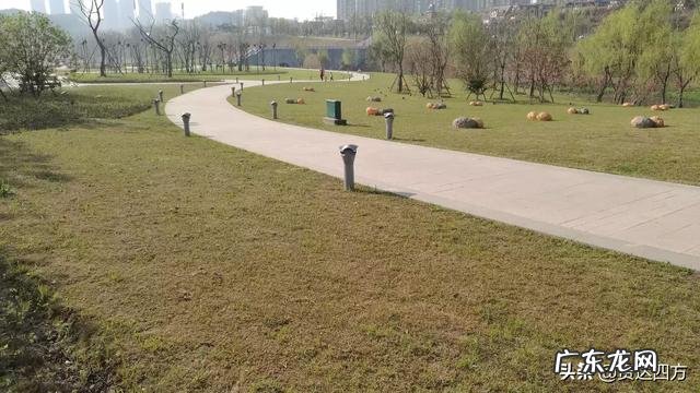 搞暧昧不愿意花钱的男生 不愿意结婚生子，不过相夫教子的生活，一心只想搞钱去旅游。这种心态为什么会不被父辈接受？男人搞暧昧是喜欢对方吗