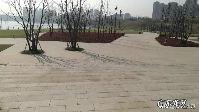 搞暧昧不愿意花钱的男生 不愿意结婚生子，不过相夫教子的生活，一心只想搞钱去旅游。这种心态为什么会不被父辈接受？男人搞暧昧是喜欢对方吗