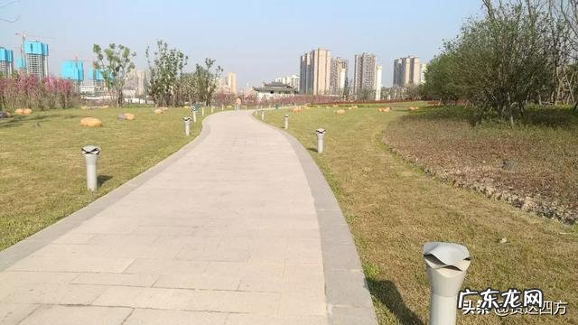 搞暧昧不愿意花钱的男生 不愿意结婚生子，不过相夫教子的生活，一心只想搞钱去旅游。这种心态为什么会不被父辈接受？男人搞暧昧是喜欢对方吗