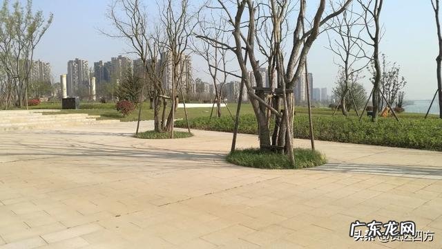 搞暧昧不愿意花钱的男生 不愿意结婚生子，不过相夫教子的生活，一心只想搞钱去旅游。这种心态为什么会不被父辈接受？男人搞暧昧是喜欢对方吗