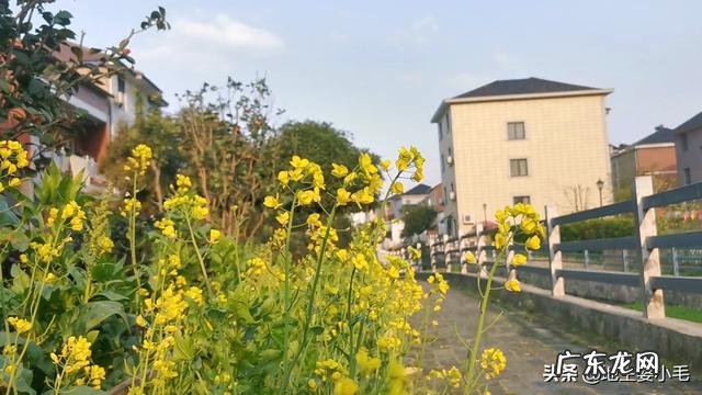 自媒体哪个平台最赚钱 自媒体如何挣钱？怎么自己做自媒体赚钱