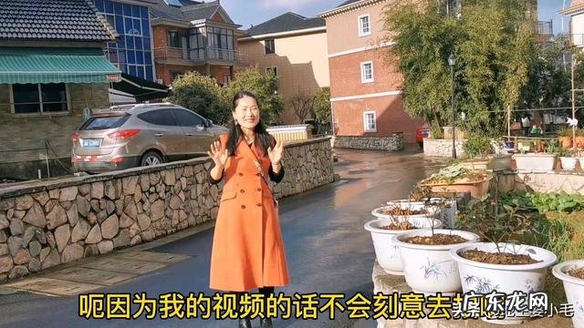 自媒体哪个平台最赚钱 自媒体如何挣钱？怎么自己做自媒体赚钱