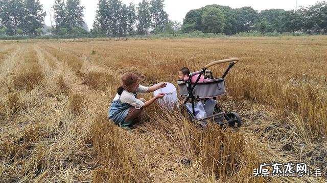 自媒体哪个平台最赚钱 自媒体如何挣钱?怎么自己做自媒体赚钱