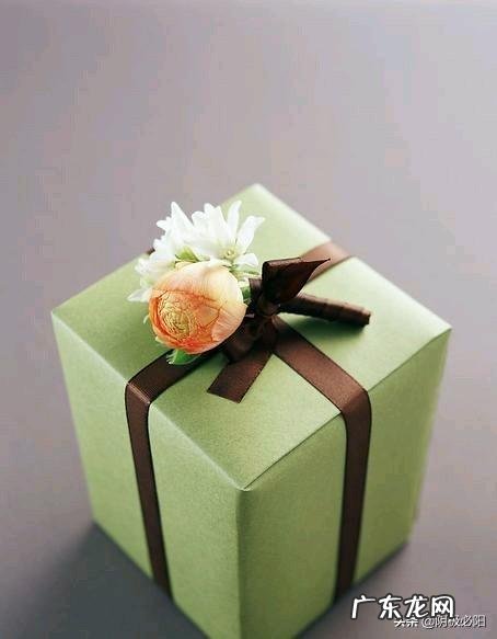 农村可以做那些项目