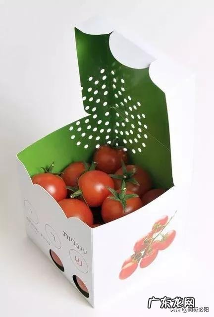 农村可以做那些项目