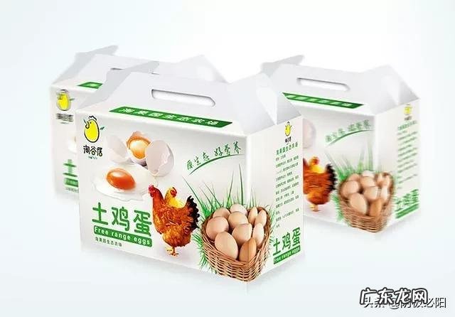 农村可以做那些项目