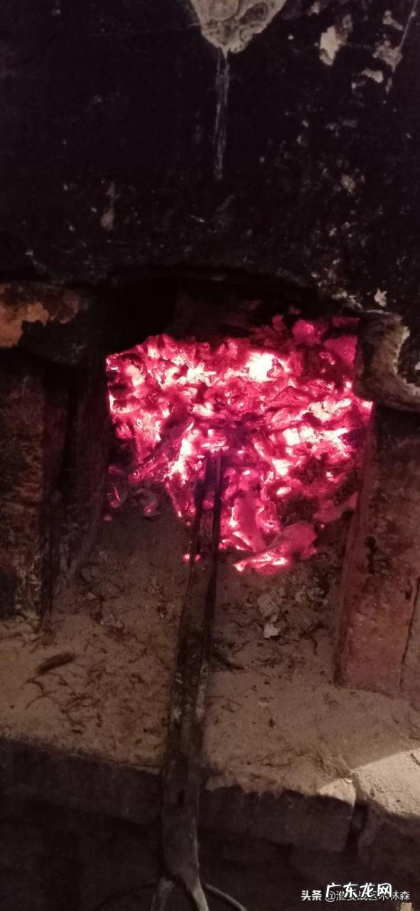 在农村做什么能发家致富