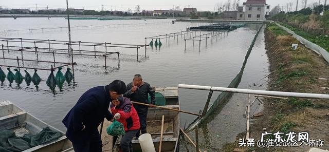 在农村做什么能发家致富