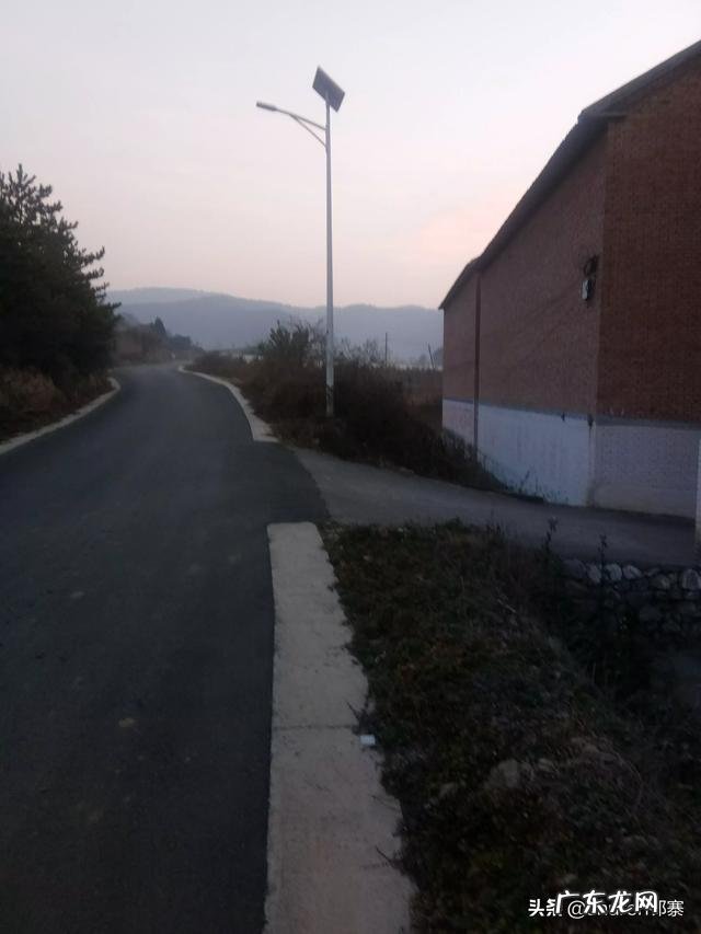 在农村做什么能发家致富